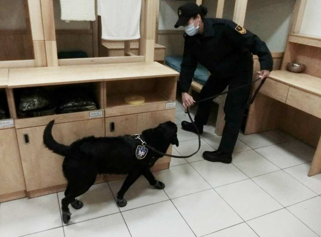 269旅申請緝毒犬實施安全檢查 確維部隊純淨(陸軍機步第269旅)
