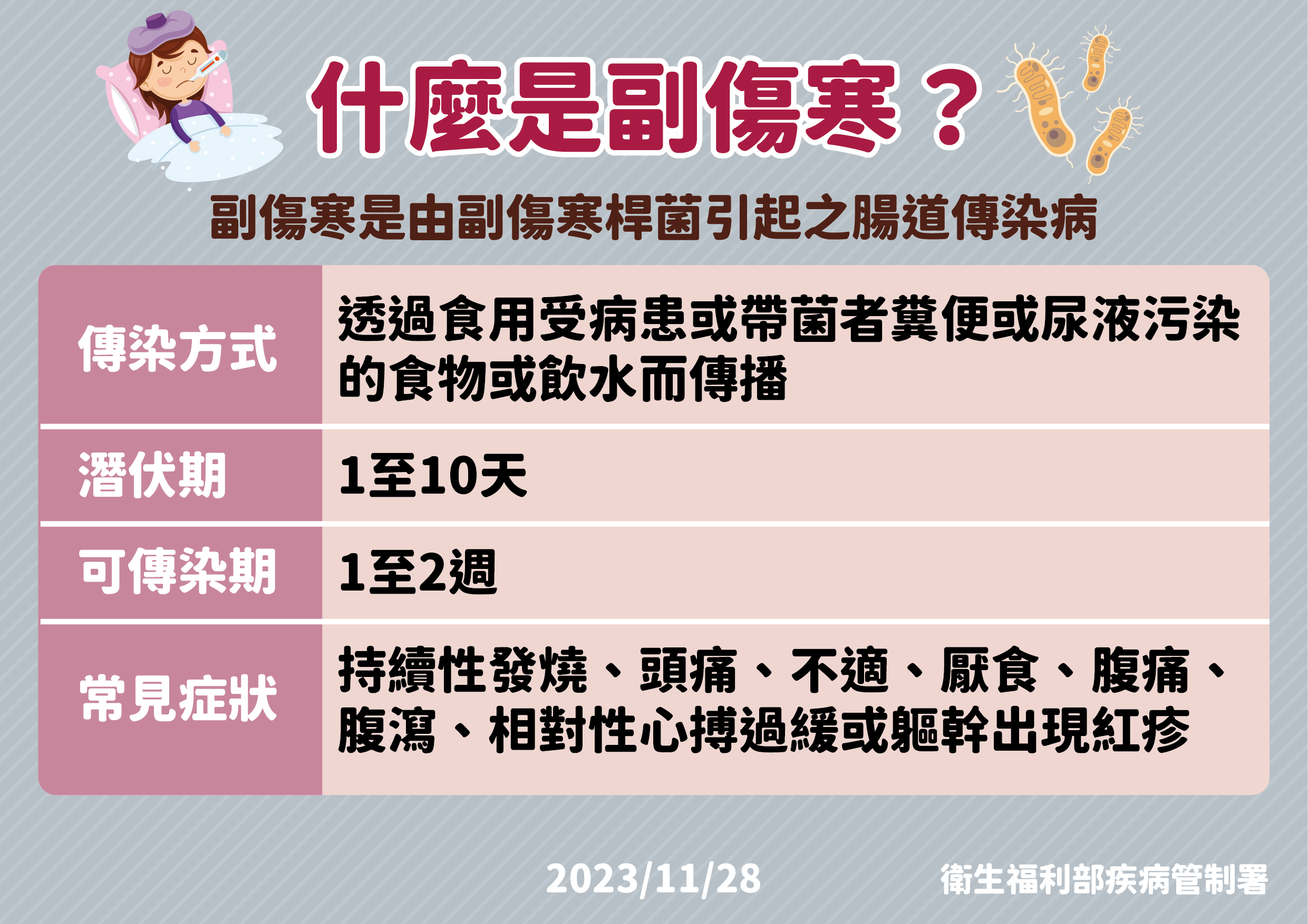 「副傷寒」說明。(圖/疾管署提供)。